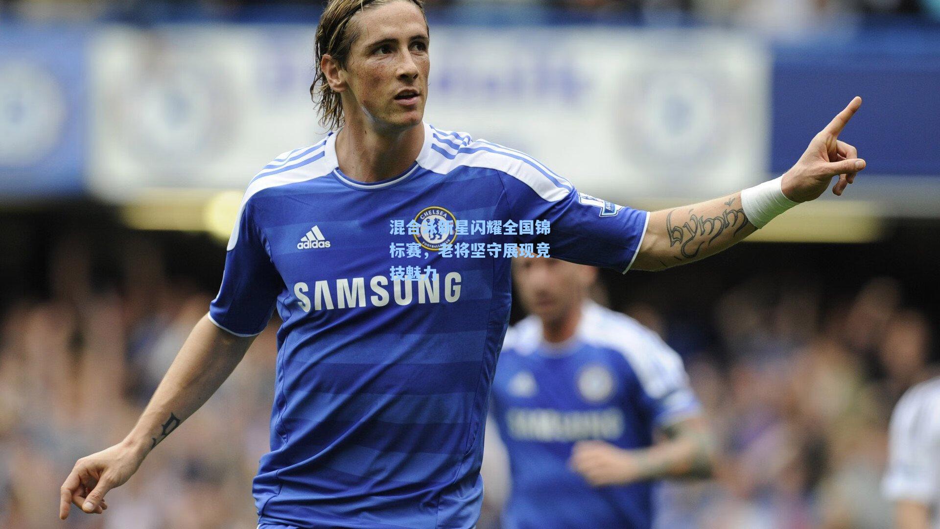 混合泳新星闪耀全国锦标赛,老将坚守展现竞技魅力