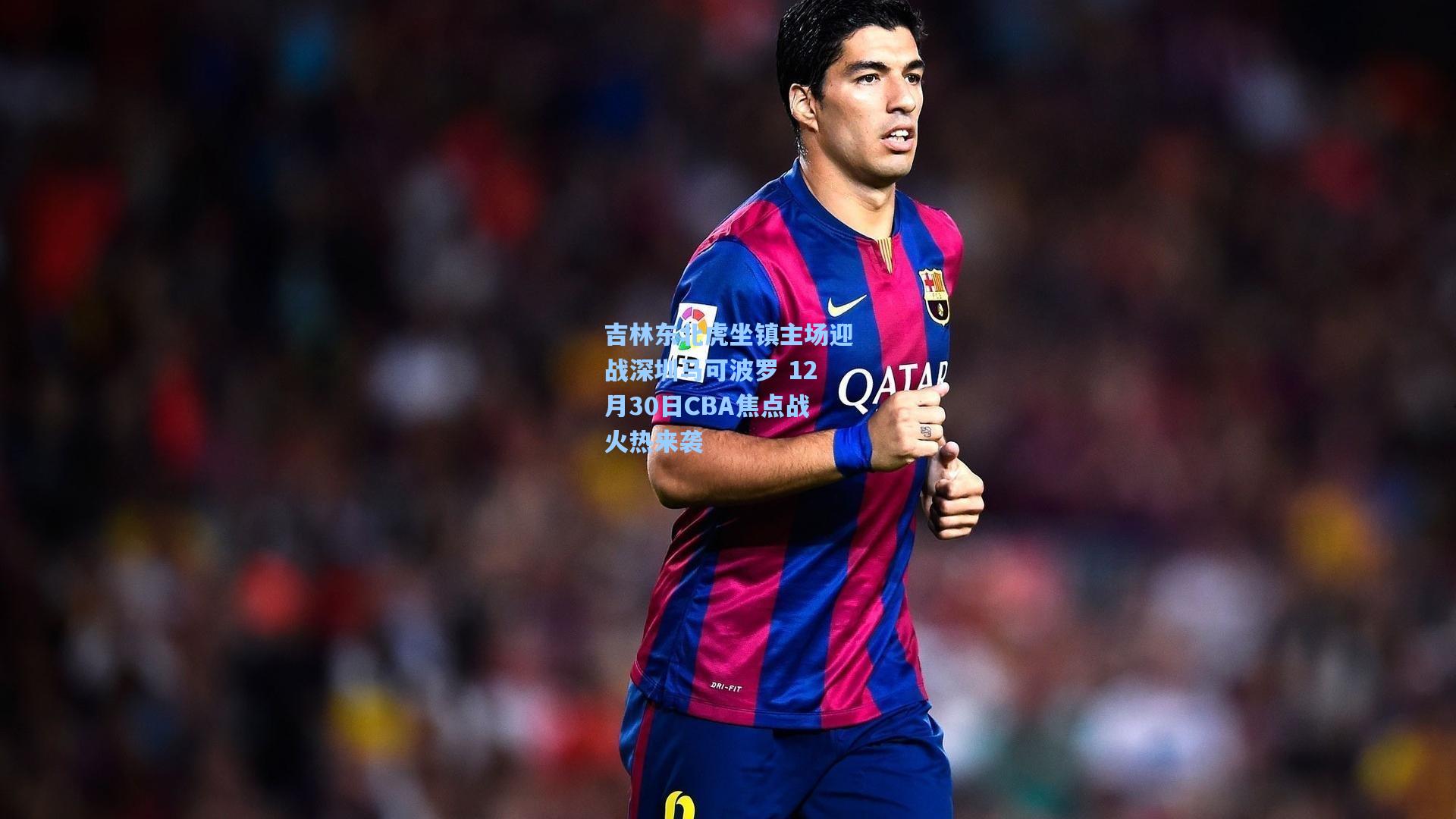 吉林东北虎坐镇主场迎战深圳马可波罗 12月30日CBA焦点战火热来袭