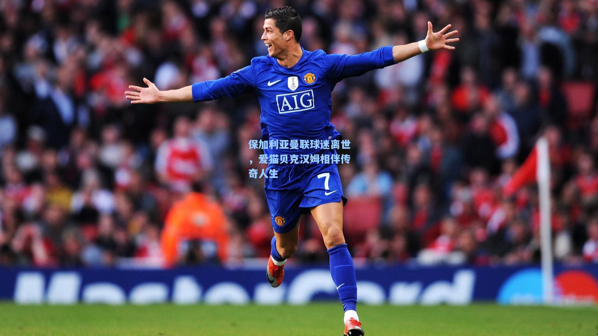 保加利亚曼联球迷离世,爱猫贝克汉姆相伴传奇人生